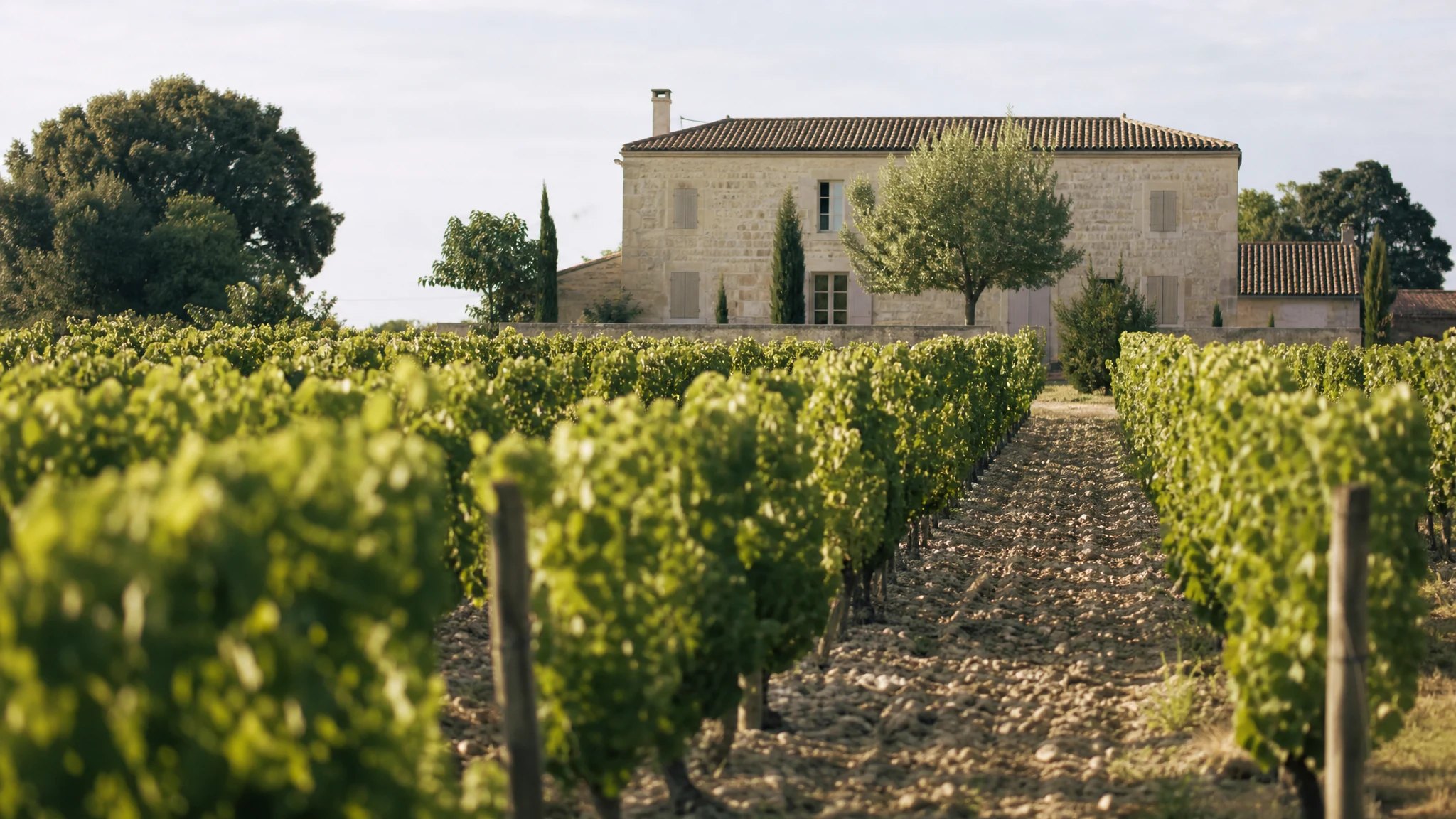 Vignoble des Graves en Gironde