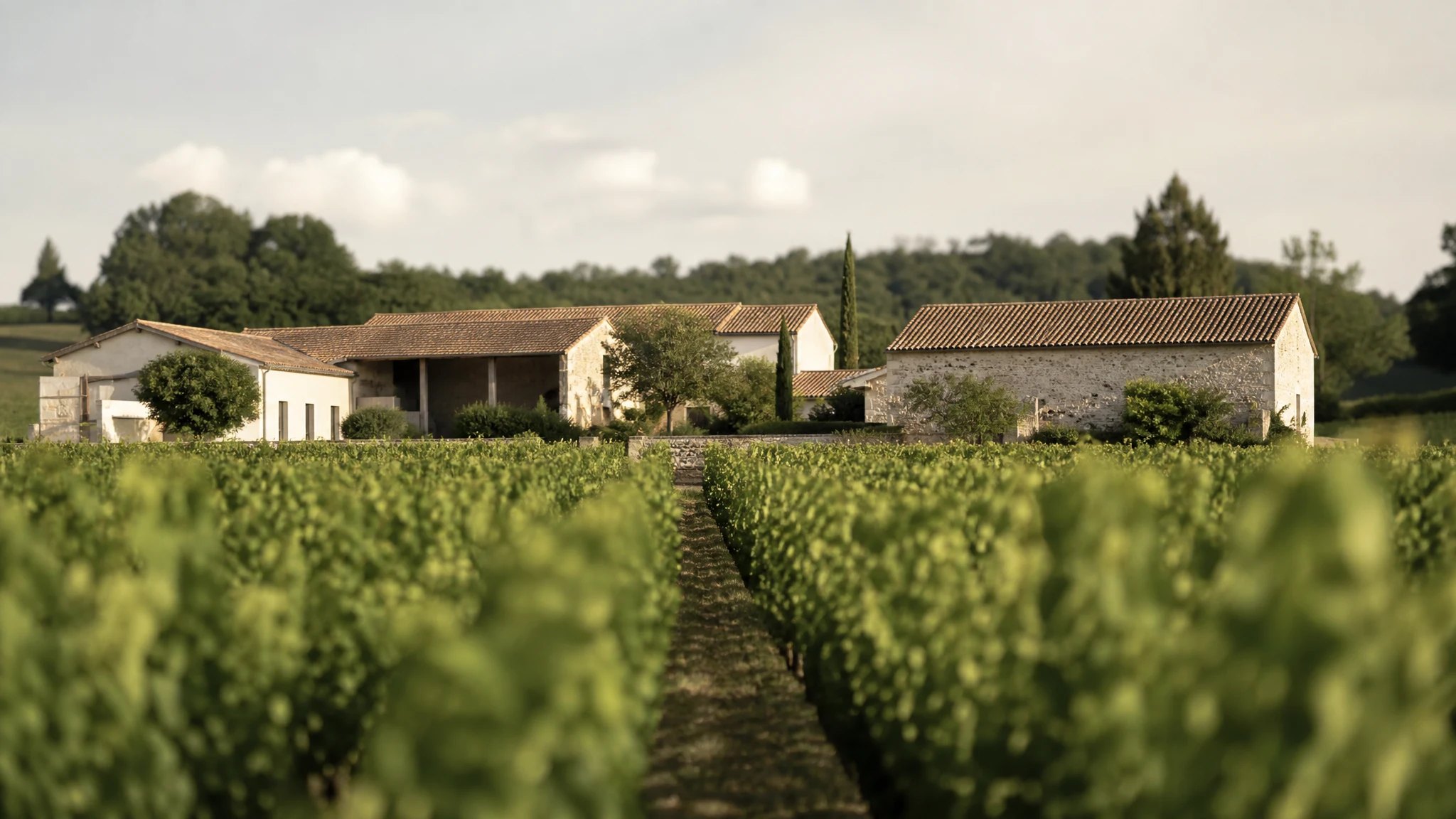 Rénovation à Martillac en Gironde